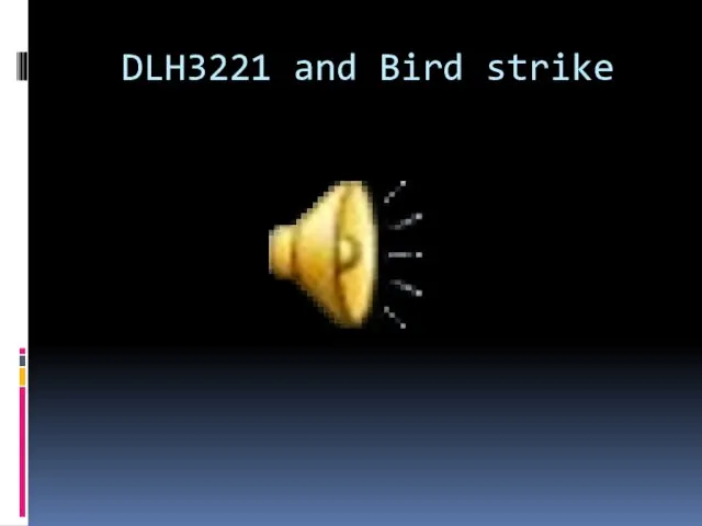 DLH3221 and Bird strike