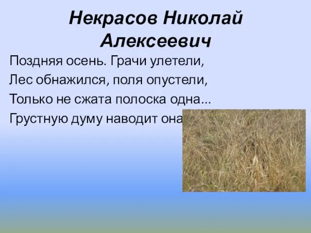 Некрасов Николай Алексеевич Поздняя осень. Грачи улетели, Лес обнажился, поля опустели,