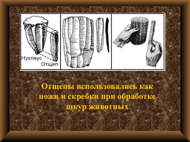 Отщепы использовались как ножи и скребки при обработке шкур животных