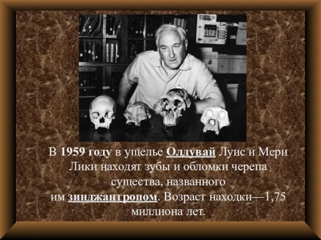 В 1959 году в ущелье Олдувай Луис и Мери Лики находят