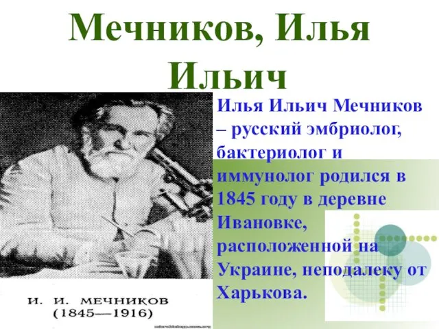 Мечников, Илья Ильич Илья Ильич Мечников – русский эмбриолог, бактериолог и