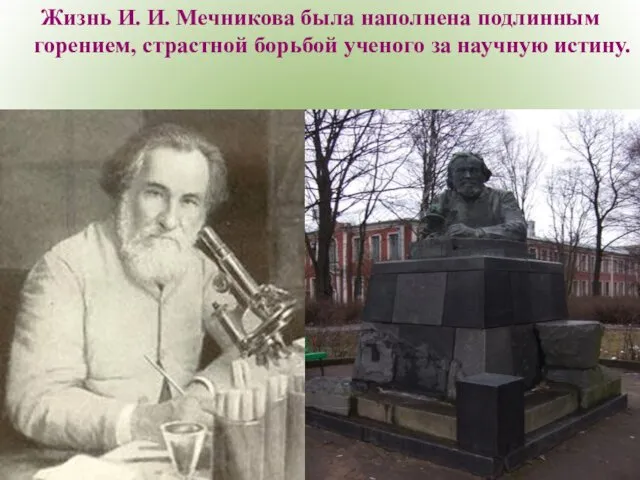 Жизнь И. И. Мечникова была наполнена подлинным горением, страстной борьбой ученого за научную истину.