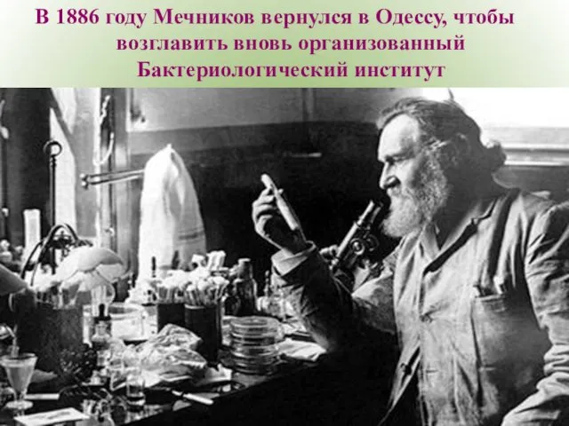 В 1886 году Мечников вернулся в Одессу, чтобы возглавить вновь организованный Бактериологический институт