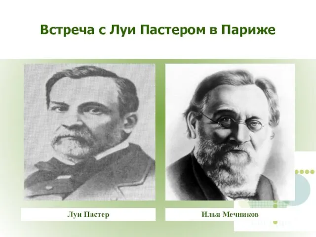 Встреча с Луи Пастером в Париже Луи Пастер Илья Мечников