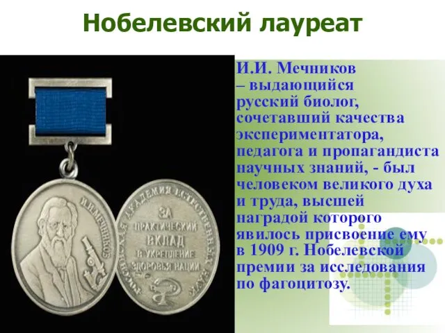 Нобелевский лауреат И.И. Мечников – выдающийся русский биолог, сочетавший качества экспериментатора,