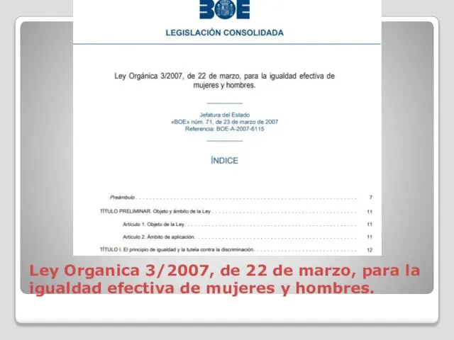 Ley Organica 3/2007, de 22 de marzo, para la igualdad efectiva de mujeres y hombres.