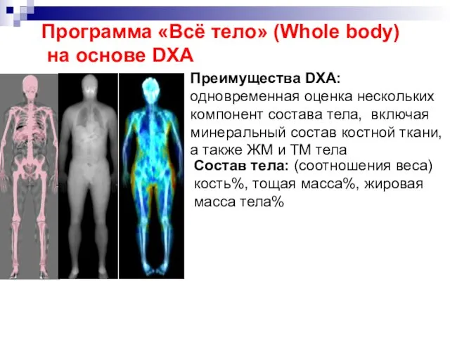 Состав тела: (соотношения веса) кость%, тощая масса%, жировая масса тела% Программа