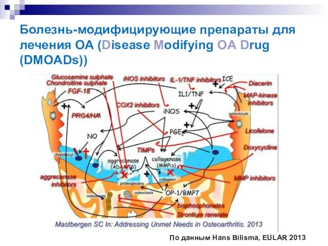 Болезнь-модифицирующие препараты для лечения ОА (Disease Modifying OA Drug (DMOADs)) По данным Hans Bilisma, EULAR 2013