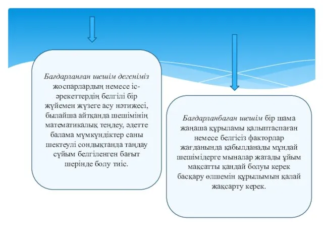 Бағдарланған шешім дегеніміз жоспарлардың немесе іс-әрекеттердің белгілі бір жүйемен жүзеге асу