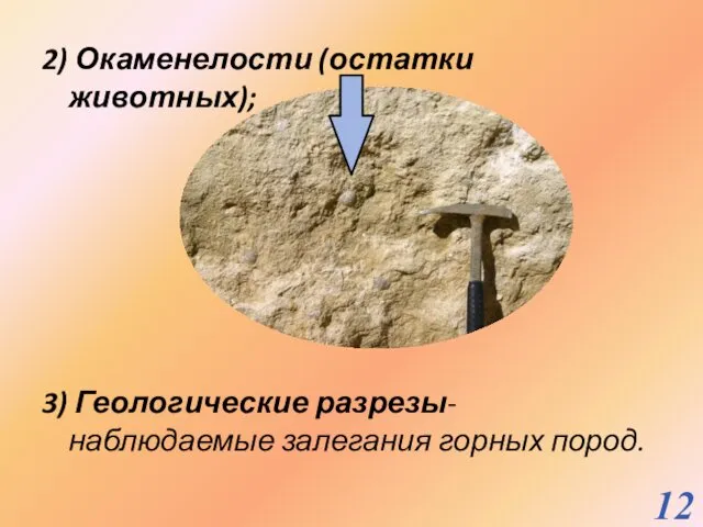 2) Окаменелости (остатки животных); 3) Геологические разрезы-наблюдаемые залегания горных пород.