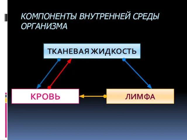 КОМПОНЕНТЫ ВНУТРЕННЕЙ СРЕДЫ ОРГАНИЗМА ТКАНЕВАЯ ЖИДКОСТЬ КРОВЬ ЛИМФА