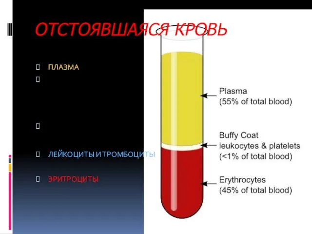 ОТСТОЯВШАЯСЯ КРОВЬ ПЛАЗМА ЛЕЙКОЦИТЫ И ТРОМБОЦИТЫ ЭРИТРОЦИТЫ