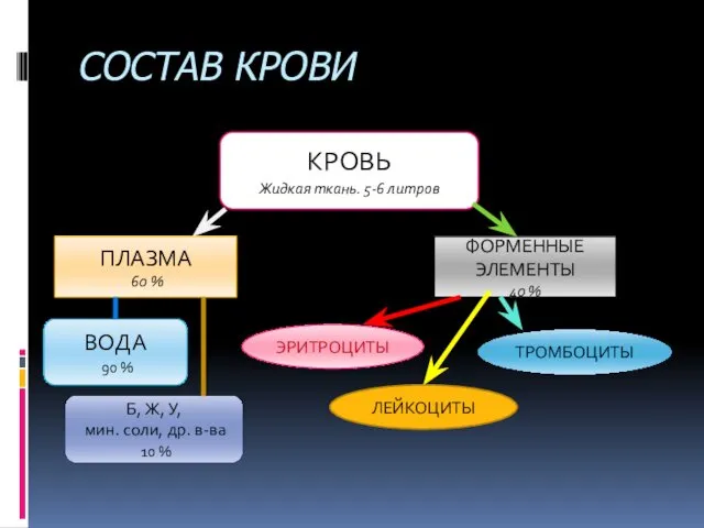 СОСТАВ КРОВИ КРОВЬ Жидкая ткань. 5-6 литров ПЛАЗМА 60 % ФОРМЕННЫЕ