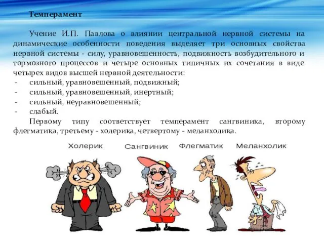 Темперамент Учение И.П. Павлова о влиянии центральной нервной системы на динамические