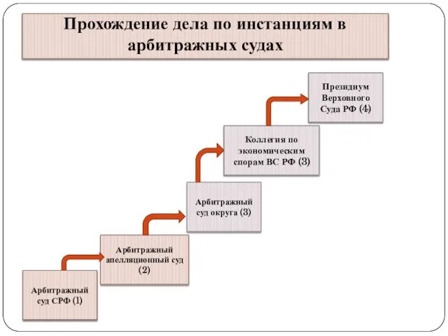 Прохождение дела по инстанциям в арбитражных судах Арбитражный суд СРФ (1)