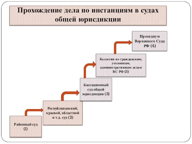 Прохождение дела по инстанциям в судах общей юрисдикции Районный суд (1)