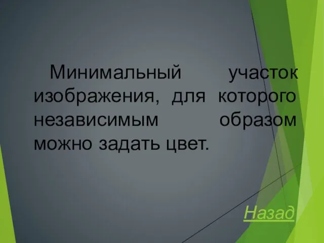 Минимальный участок изображения, для которого независимым образом можно задать цвет. Назад