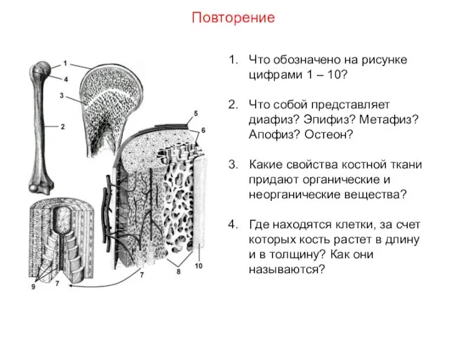 Что обозначено на рисунке цифрами 1 – 10? Что собой представляет