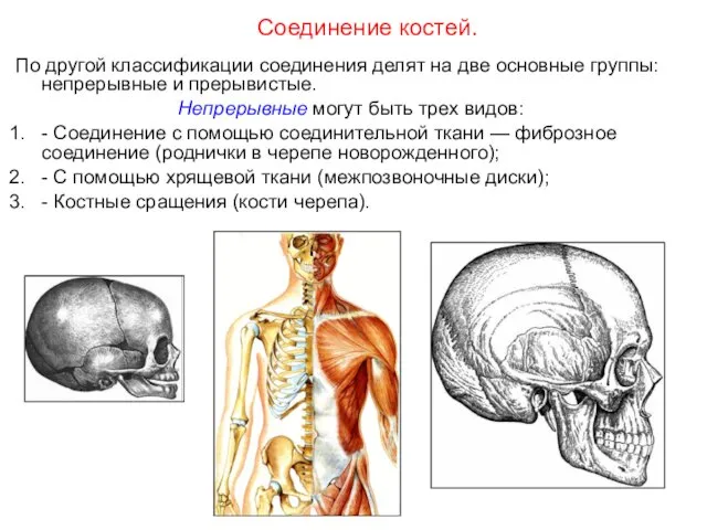 По другой классификации соединения делят на две основные группы: непрерывные и