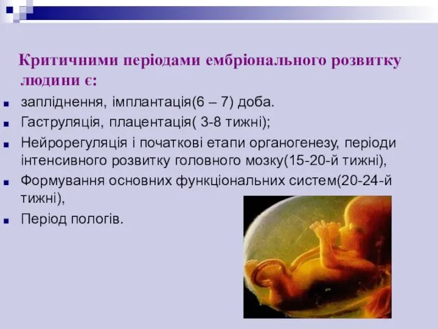 Критичними періодами ембріонального розвитку людини є: запліднення, імплантація(6 – 7) доба.