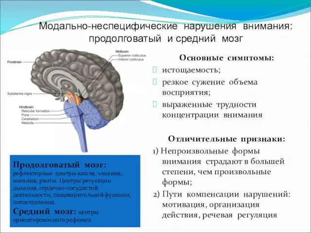 Модально-неспецифические нарушения внимания: продолговатый и средний мозг Основные симптомы: истощаемость; резкое