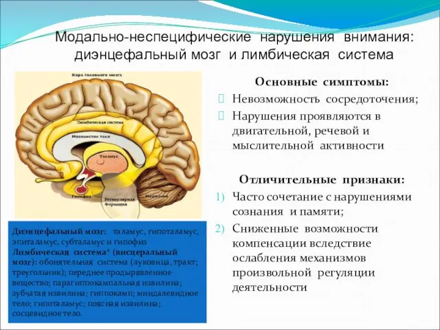 Модально-неспецифические нарушения внимания: диэнцефальный мозг и лимбическая система Основные симптомы: Невозможность