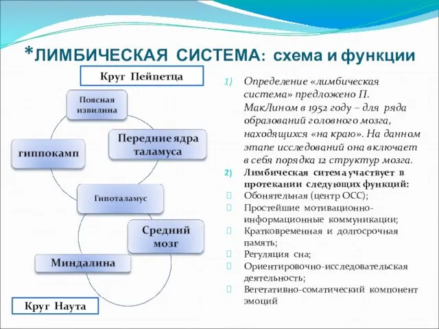 *ЛИМБИЧЕСКАЯ СИСТЕМА: схема и функции Определение «лимбическая система» предложено П. МакЛином