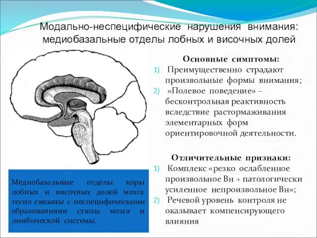 Модально-неспецифические нарушения внимания: медиобазальные отделы лобных и височных долей Основные симптомы: