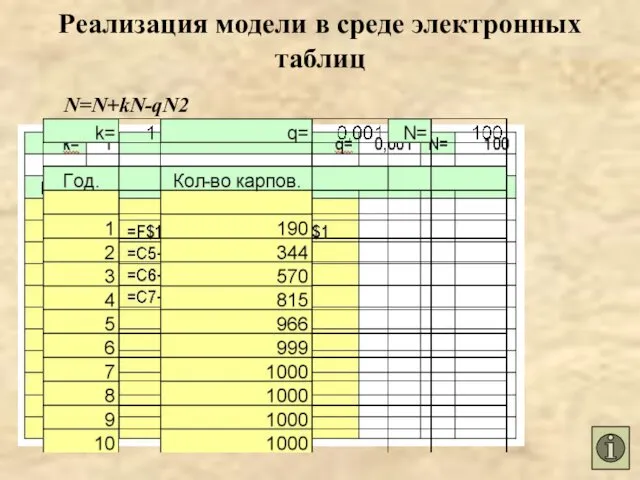 Реализация модели в среде электронных таблиц N=N+kN-qN2