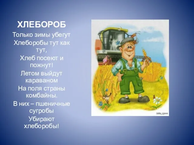 ХЛЕБОРОБ Только зимы убегут Хлеборобы тут как тут, Хлеб посеют и