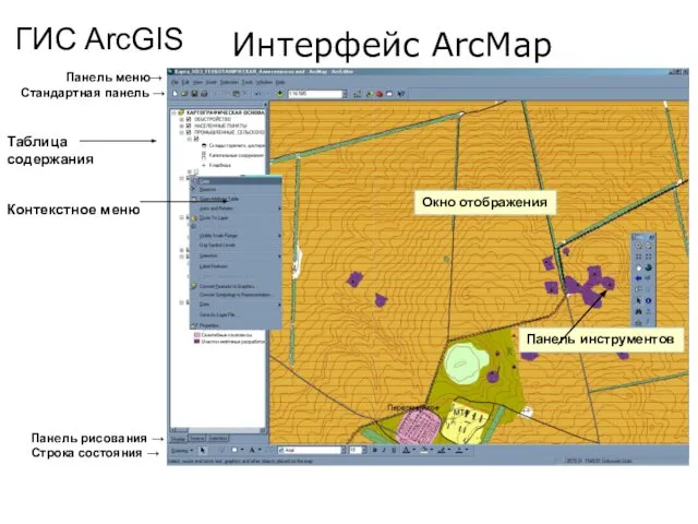 Интерфейс ArcMap Панель меню→ Стандартная панель → Таблица содержания Контекстное меню