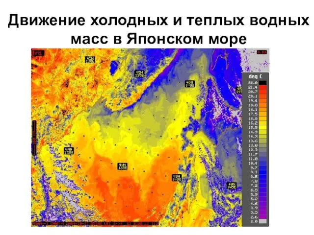 Движение холодных и теплых водных масс в Японском море