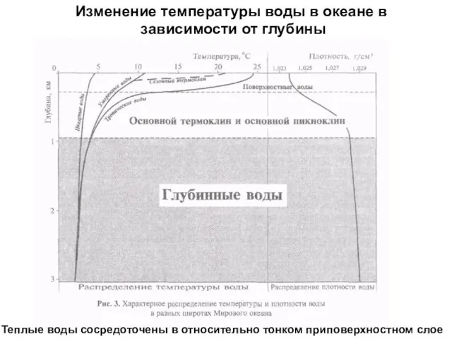 Изменение температуры воды в океане в зависимости от глубины Теплые воды