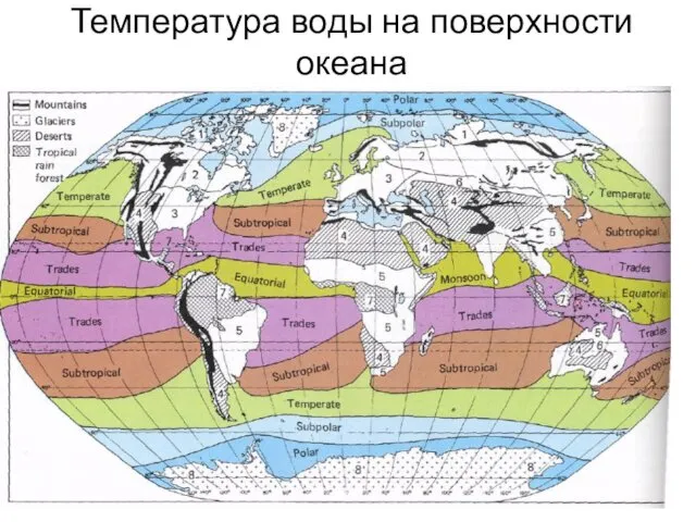 Температура воды на поверхности океана