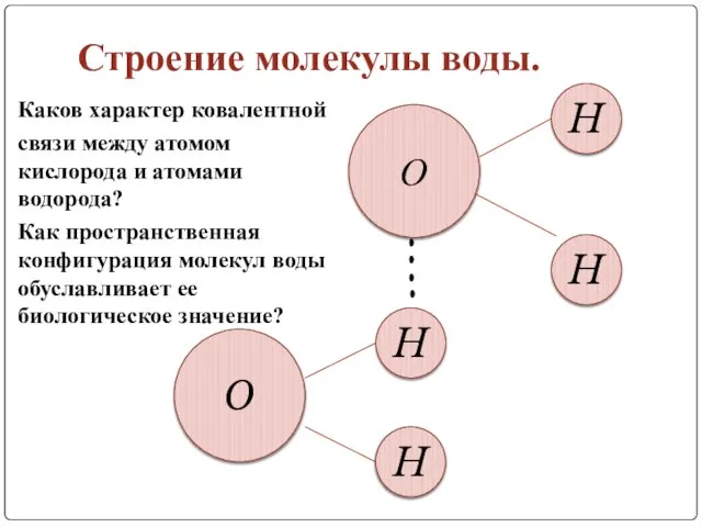 Строение молекулы воды. О H H H H O Каков характер