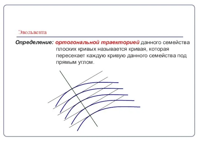 Эвольвента Определение: ортогональной траекторией данного семейства плоских кривых называется кривая, которая