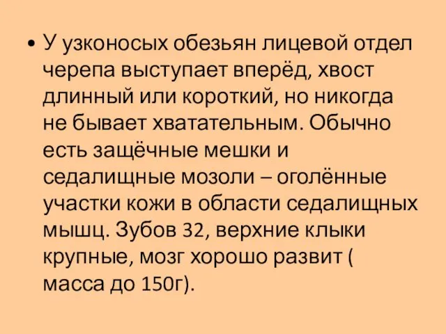 У узконосых обезьян лицевой отдел черепа выступает вперёд, хвост длинный или