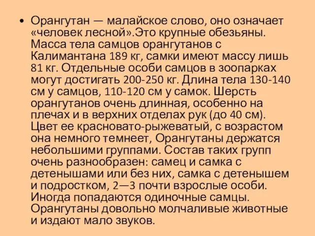 Орангутан — малайское слово, оно означает «человек лесной».Это крупные обезьяны. Масса