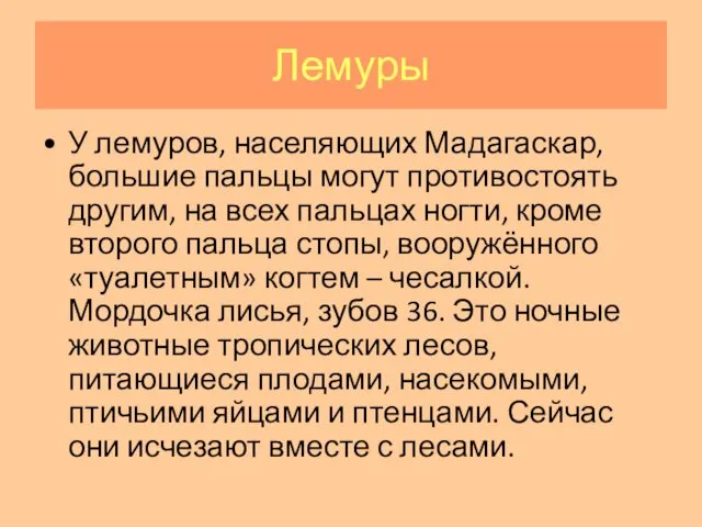 Лемуры У лемуров, населяющих Мадагаскар, большие пальцы могут противостоять другим, на