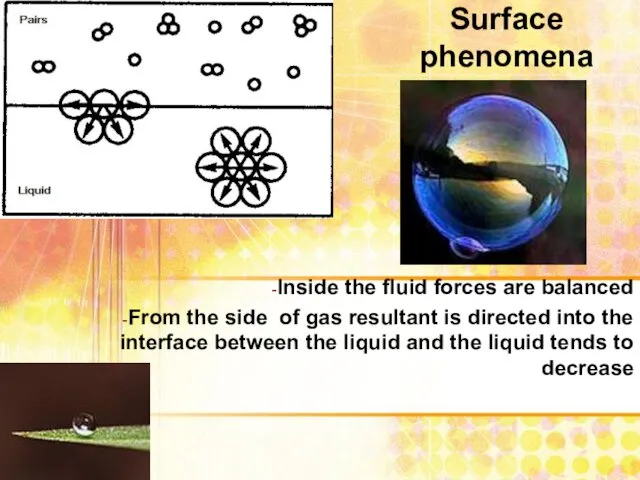 Surface phenomena Inside the fluid forces are balanced From the side