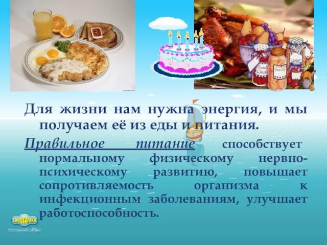 Для жизни нам нужна энергия, и мы получаем её из еды