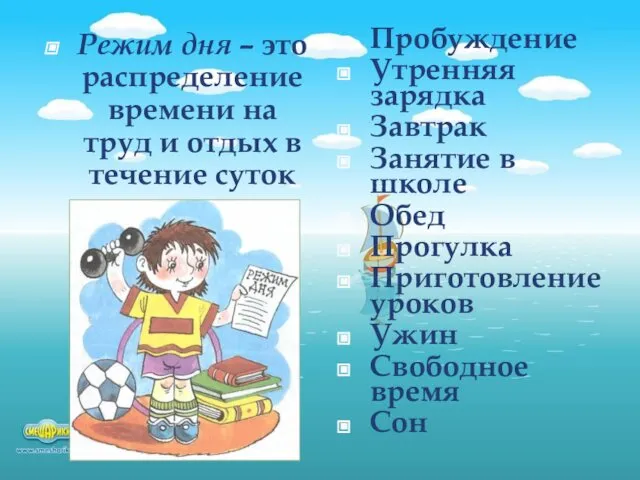 Режим дня – это распределение времени на труд и отдых в