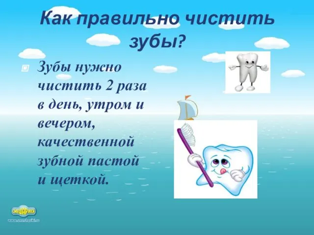 Как правильно чистить зубы? Зубы нужно чистить 2 раза в день,