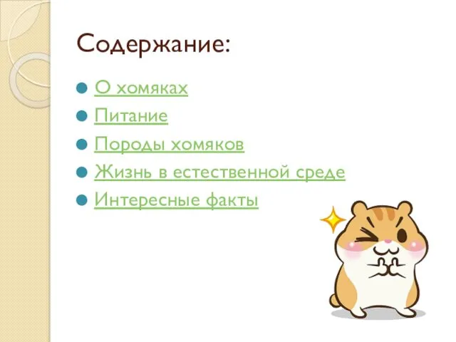 Содержание: О хомяках Питание Породы хомяков Жизнь в естественной среде Интересные факты