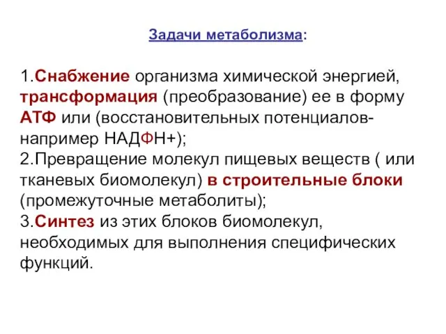 1.Снабжение организма химической энергией, трансформация (преобразование) ее в форму АТФ или