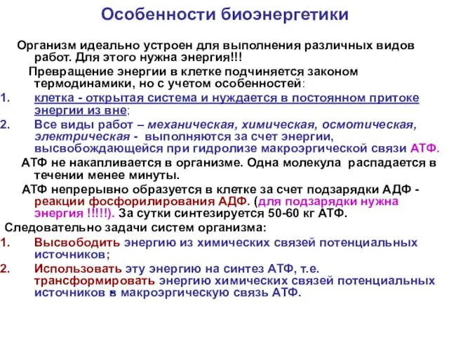 Особенности биоэнергетики Организм идеально устроен для выполнения различных видов работ. Для