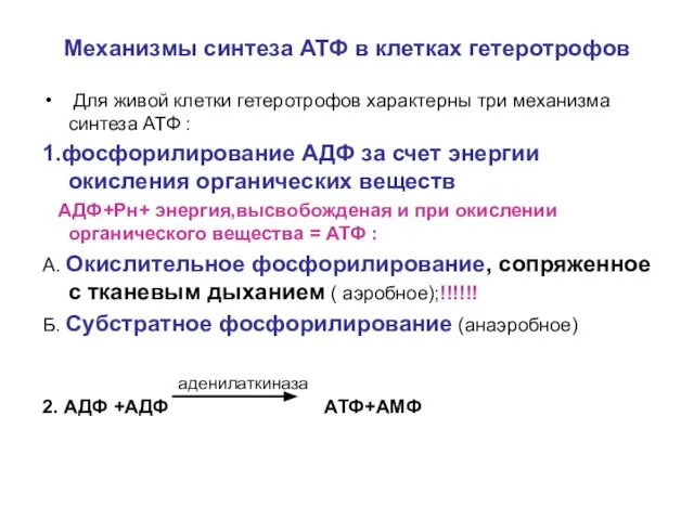 Механизмы синтеза АТФ в клетках гетеротрофов Для живой клетки гетеротрофов характерны