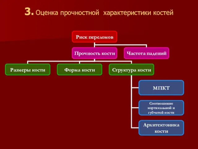 3. Оценка прочностной характеристики костей