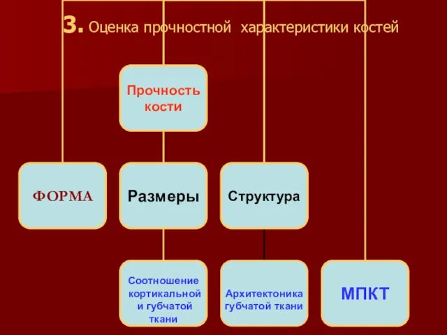 3. Оценка прочностной характеристики костей