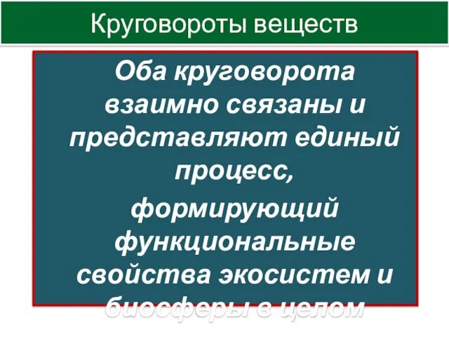 Оба круговорота взаимно связаны и представляют единый процесс, формирующий функциональные свойства